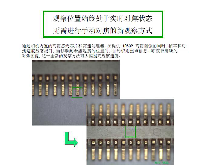 HDMI-200ZD 自動對焦相機(jī) 攝像頭 CCD HDMI高清攝像頭 實時對焦