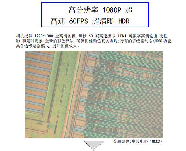 HDMI-200ZD 自動對焦相機(jī) 攝像頭 CCD HDMI高清攝像頭 實時對焦